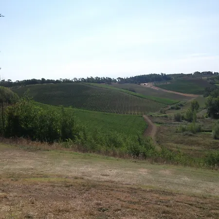 Musignano
